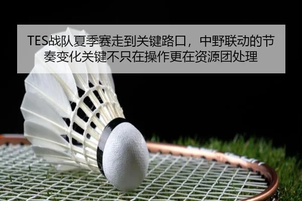 TES战队夏季赛走到关键路口，中野联动的节奏变化关键不只在操作更在资源团处理